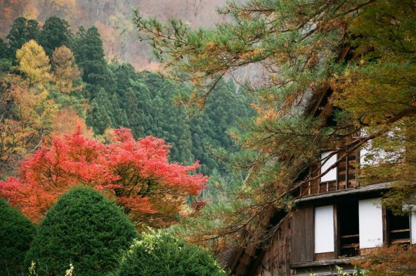 【世界遺産】この秋行きたい紅葉と日本の世界遺産５選　　
